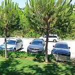Lavender Kusadası